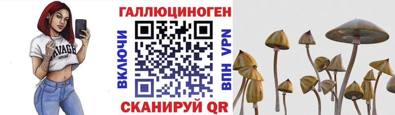 Псилоцибиновые грибы прущие грибы  продажа наркотиков  площадка клад  Буй 